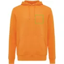Hanorac cu gluga, Unisex, 2502E10108, iqoniq, Bumbac, Portocaliu, S