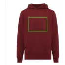 Hanorac cu gluga, Unisex, 2502E10216, iqoniq, Bumbac, Burgundy, XXS