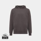 Hanorac cu gluga, Unisex, 2502E10192, iqoniq, Bumbac, Gri antracit, L