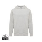 Hanorac cu gluga, Unisex, 2502E10272, iqoniq, Bumbac, Gri light, XS