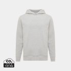 Hanorac cu gluga, Unisex, 2502E10272, iqoniq, Bumbac, Gri light, XS