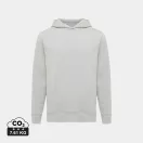 Hanorac cu gluga, Unisex, 2502E10273, iqoniq, Bumbac, Gri light, XXL