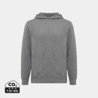   Hanorac cu gluga, Unisex, 2502E10264, iqoniq, Bumbac, Gri antracit, XXS