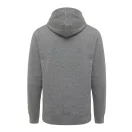 Hanorac cu gluga, Unisex, 2502E10264, iqoniq, Bumbac, Gri antracit, XXS