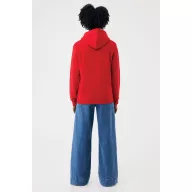   Hanorac cu gluga, iqoniq, 2610E15888, Unisex, Bumbac, Rosu, 3XL