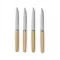 Set 4 cutite de carne, 2401E16671, Vinga, 22x1.5x1.5 cm, Otel, Lemn, Argintiu