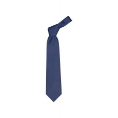Cravata, 20FEB4277, Poliester, Albastru