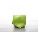 Cravata, 20FEB4276, Poliester, Verde