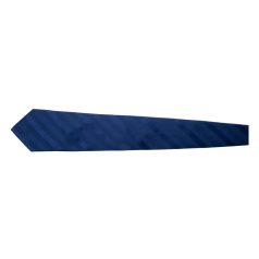 Cravata, 1510×100 mm, 20FEB4299, Microfibra, Albastru