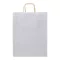 Punga cadou, Everestus, 2610E19025, 320x410x120 mm, Hartie, Alb