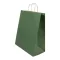 Punga cadou, Everestus, 2610E19023, 320x410x120 mm, Hartie, Verde