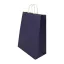 Punga cadou, Everestus, 2610E19028, 260x340x120 mm, Hartie, Albastru Dark
