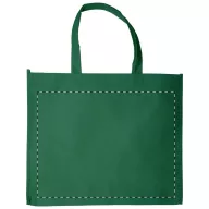   Sacosa, 420×350×150 mm, Everestus, 20FEB12511, Laminated recycled PET, Verde