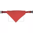 Dog's collar, 200×140 mm, Everestus, 20FEB7951, Poliester, Rosu