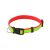 Visibility dog's collar, 500×18 mm, Everestus, 20FEB7943, Poliester, Rosu