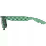 Ochelari de soare,  Everestus, 20FEB2636, Plastic, Verde
