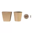 Kit pentru cultivarea pomilor de Craciun, Everestus, 2610E18521, 63x65x59 mm, Hartie, Natur