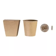   Kit pentru cultivarea pomilor de Craciun, Everestus, 2610E18521, 63x65x59 mm, Hartie, Natur