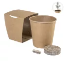 Kit pentru cultivarea pomilor de Craciun, Everestus, 2610E18521, 63x65x59 mm, Hartie, Natur
