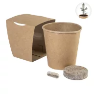   Kit pentru cultivarea pomilor de Craciun, Everestus, 2610E18521, 63x65x59 mm, Hartie, Natur