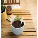 Kit pentru cultivarea pomilor de Craciun, Everestus, 2610E18522, 65x100x6 mm, Hartie, Natur