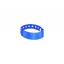 Wristband, 243×19 mm, Everestus, 20FEB3798, Plastic, Albastru