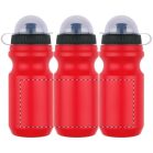 Sticla sport, 550 ml, ø73×197 mm, Everestus, 20FEB8462, Plastic, Rosu