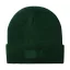 Caciula, unisex, universala, Everestus, 20FEB3475, Poliester, Verde