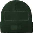 Caciula, unisex, universala, Everestus, 20FEB3475, Poliester, Verde