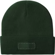   Caciula, unisex, universala, Everestus, 20FEB3475, Poliester, Verde