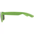 Ochelari de soare,  Everestus, 20FEB2697, Plastic, Verde