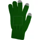 Manusi touchscreen, Everestus, 20FEB17060, Poliester, Verde, Gri