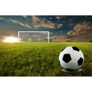 Minge de fotbal, marime 5, ø220 mm, Everestus, 20FEB7756, PVC, Negru