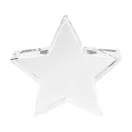 Trofeu, Everestus, 2601E14929, 105x105x19 mm, Sticla, Transparent