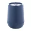 Cana termos, 300 ml, 2502E16340, Everestus, ⌀89 x 124 mm, Polipropilena, Albastru dark