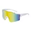 Ochelari de soare sport, UV400, Everestus, 2601E14801, Policarbonat, Alb