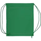 Saculet cu snur tip rucsac, 350×410 mm, Everestus, 20FEB5710, 190T Poliester, Verde
