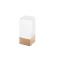 Trofeu 2402E18388, Everestus, 50x110x50 mm, Sticla, Lemn, Natur
