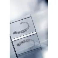   Bloc din sticla, 40×40×60 mm, Everestus, 20FEB13436, Sticla, Transparent