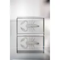   Bloc din sticla, 40×40×60 mm, Everestus, 20FEB13436, Sticla, Transparent