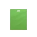 Sacosa pentru cumparaturi, 2401E18141, Everestus, 340x440 mm, Material netesut, Verde