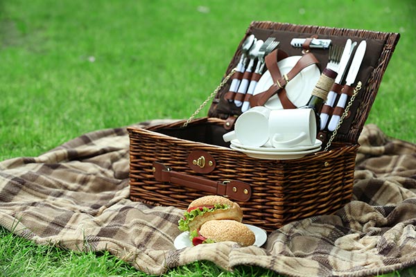 cosuri picnic everestus
