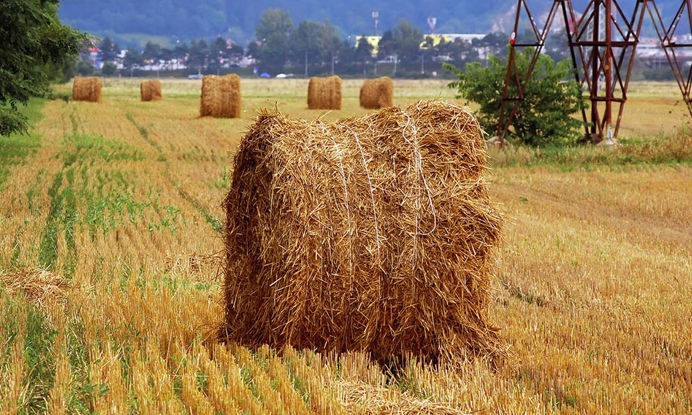 AGRICULTURĂ – idei de materiale promoționale