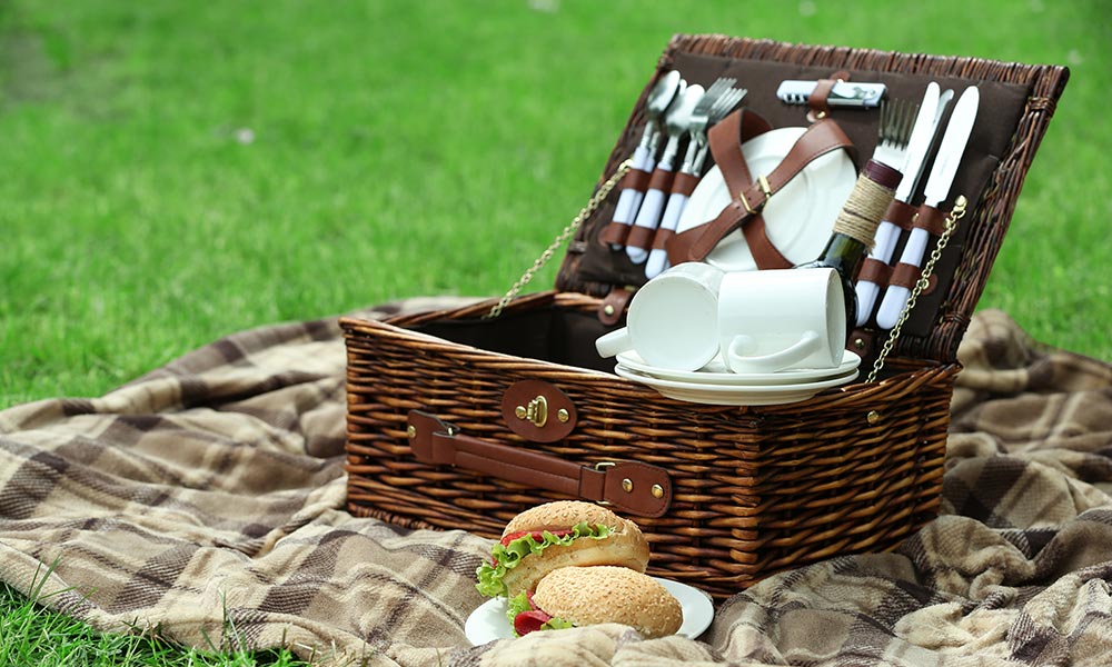 Cosuri picnic echipate cu accesorii utile pentru iesirile la iarba verde 