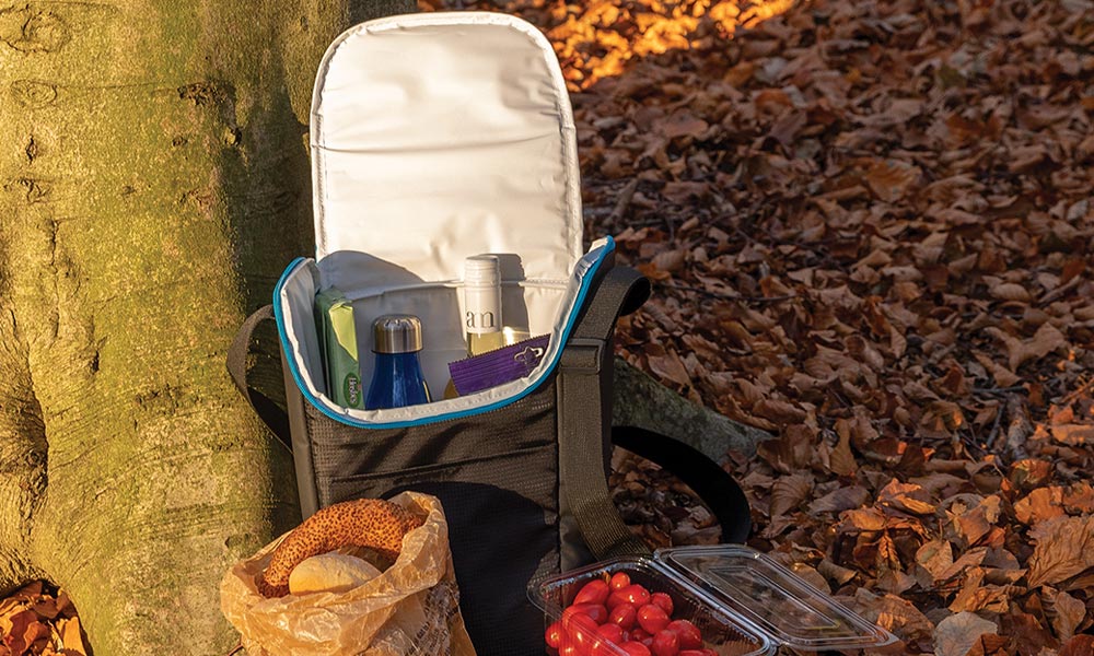 Cum sa alegi geanta termoizolanta perfecta pentru picnic
